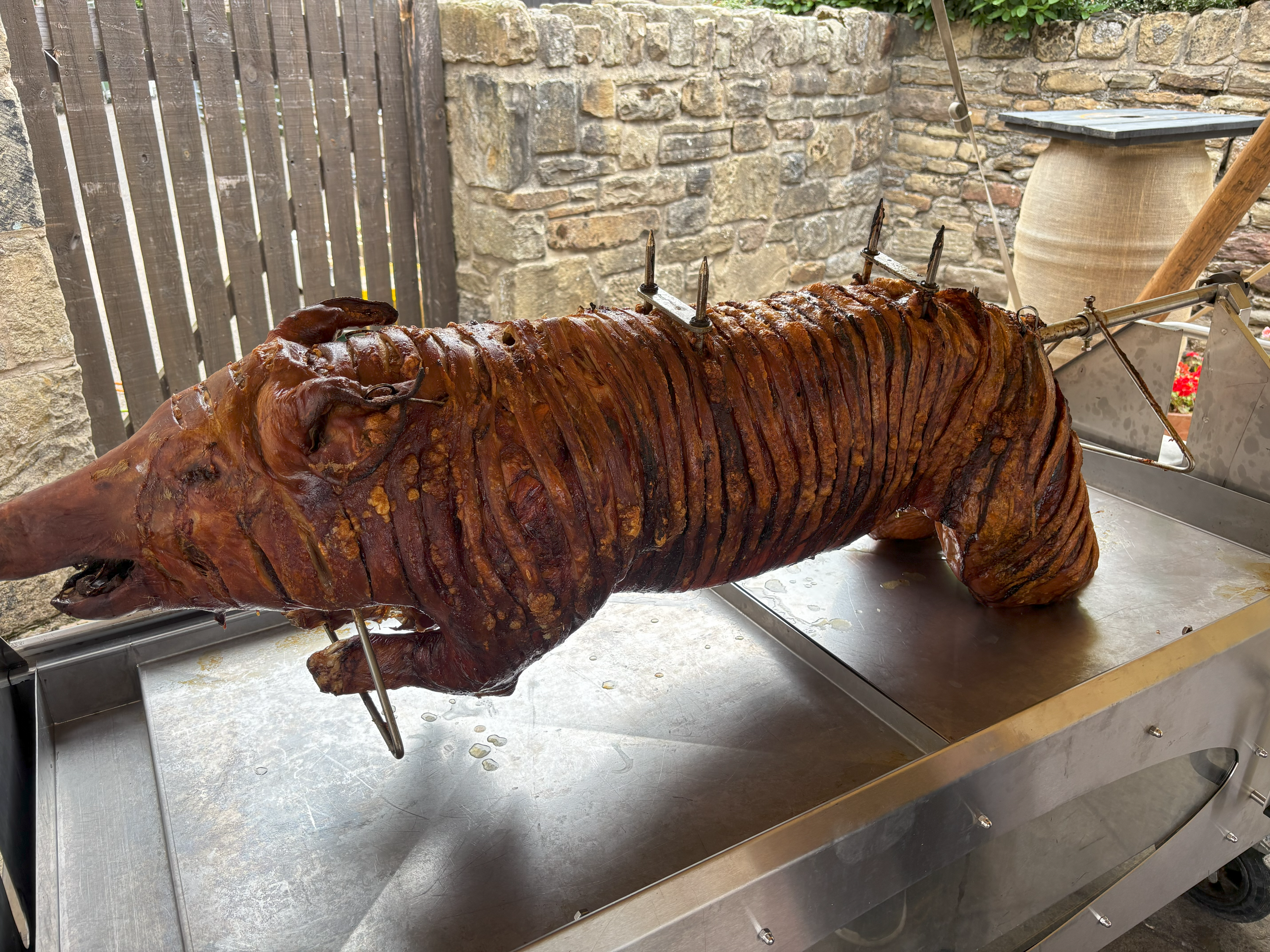 Professionally roasted hog ready to serve